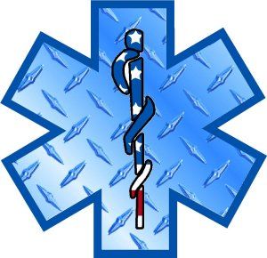 Star of Life EMS Thin Red line Firefighter decal – Powercall Sirens LLC