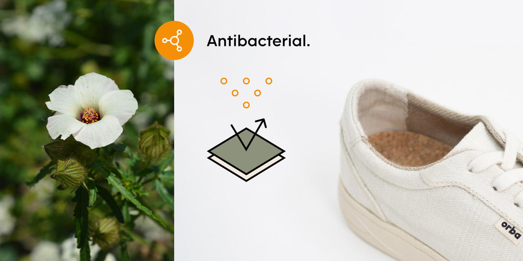 Kenaf shoe linings are naturally antibacterial.