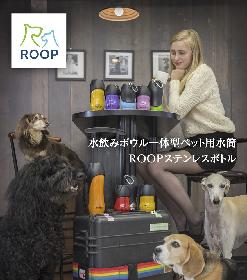 新登場 名入れ ペット用 水筒 M 500ml ROOP ループ ステンレスボトル 箱入り イニシャル 送料無料 discoversvg.com