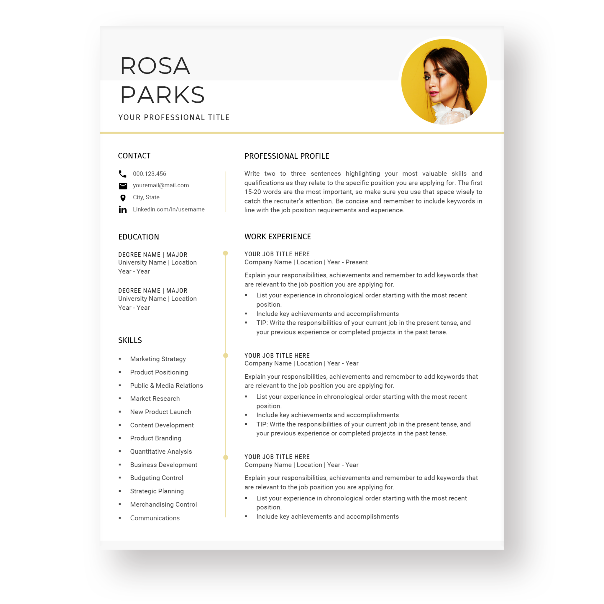 Modern Resume Template for Word - The Rosa With Regard To Combination Resume Template Word