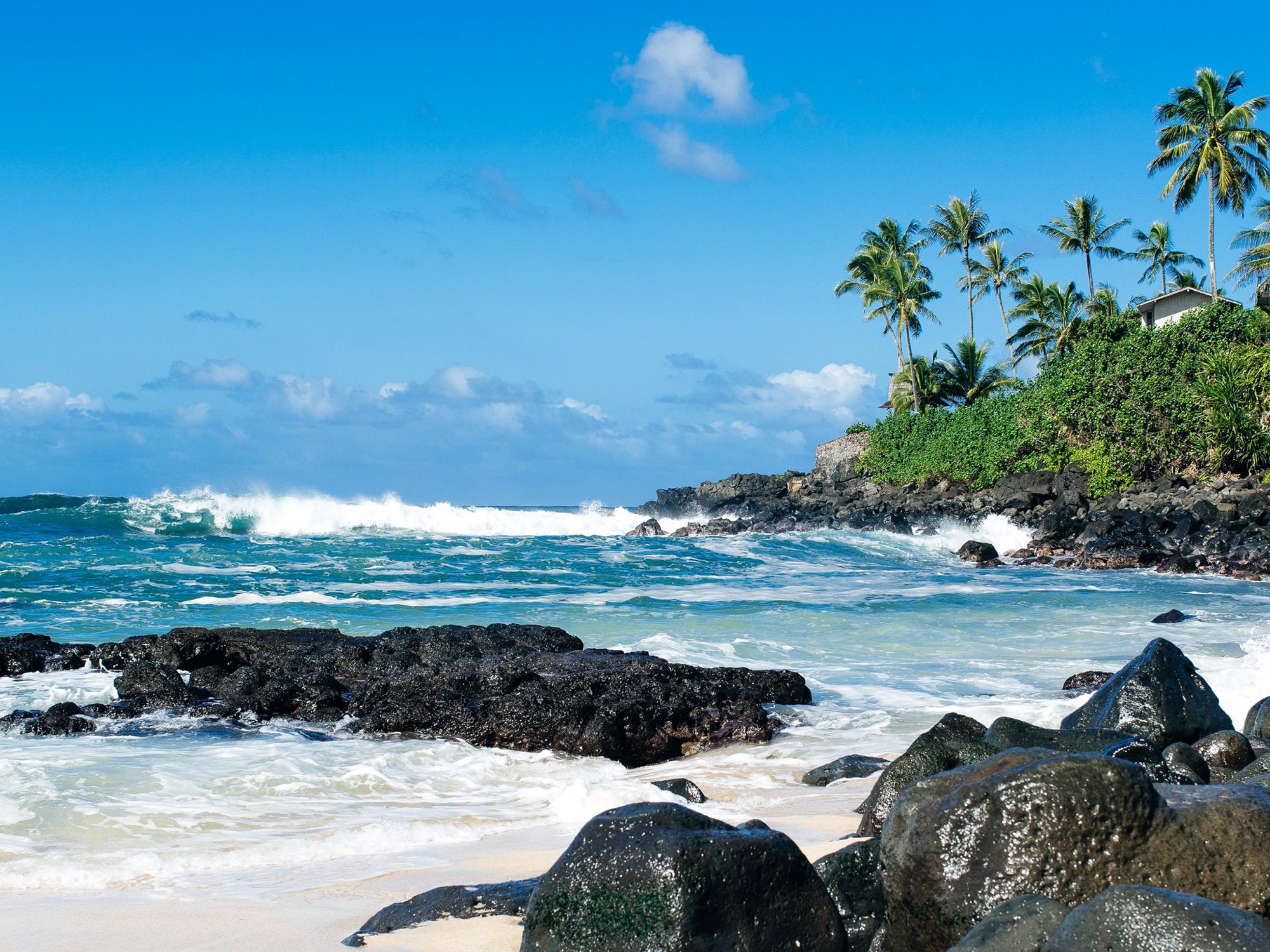 Waimea Bay