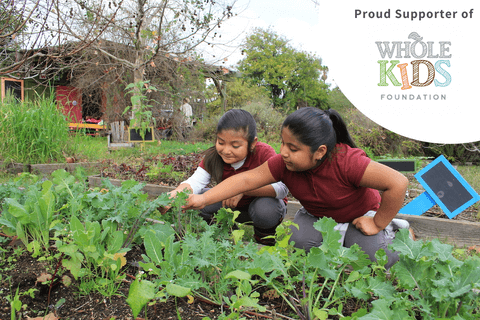 wholekids foundation gardening