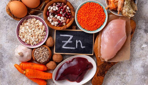 alimentos que contém zinco