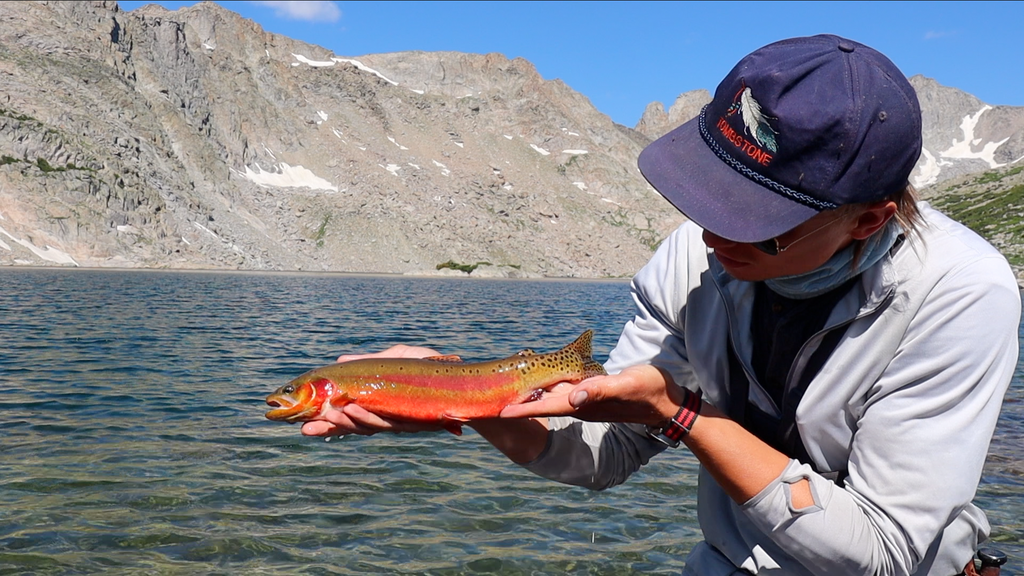 Fly Fishing Wyoming: The Wind River Range – FLY ALL SZN