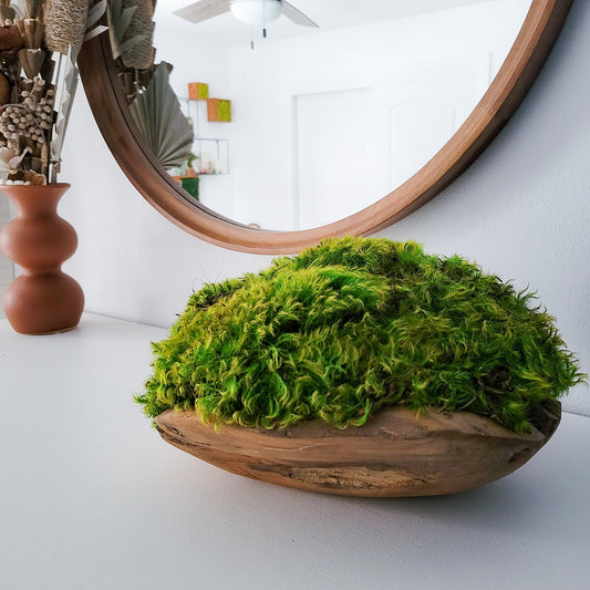 Preserved Moss Dough Bowl Centerpiece 9”x5” – HollyBee and Company