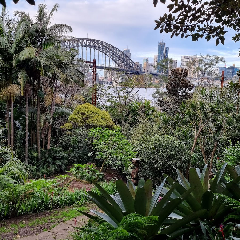 The Most Romantic Places to Propose in Sydney - Wendy's Secret Garden, Lavender Bay