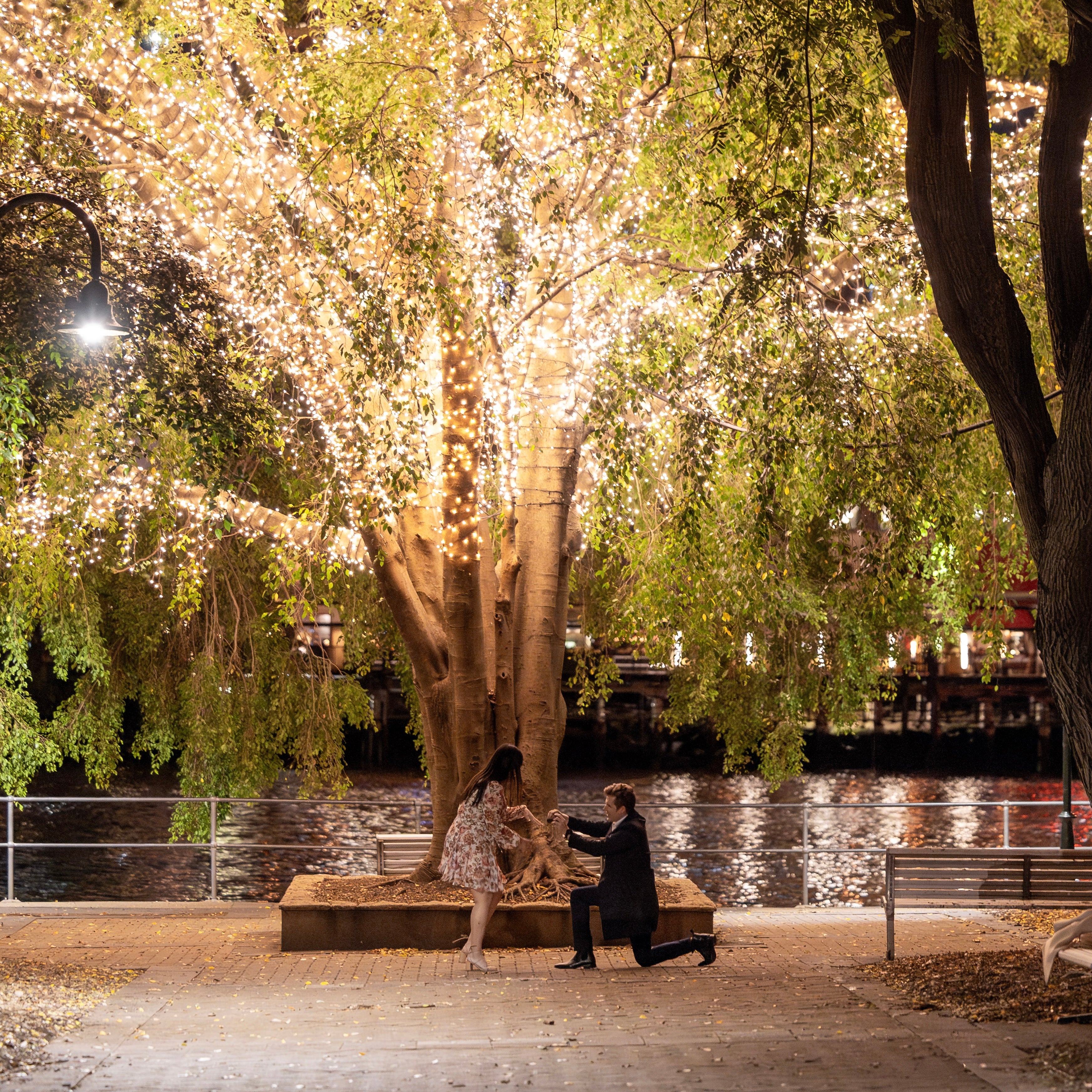 The Moissanite Company Lover's - Tina and Alex Engagement Photos