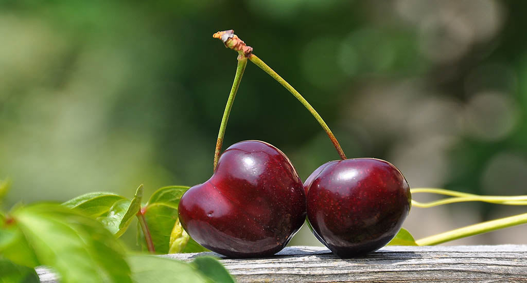 Cherries