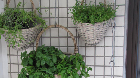 vertical herb garden