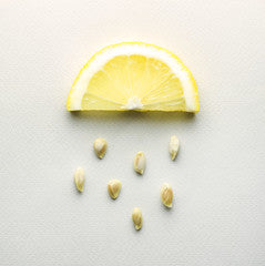 Lemon seed