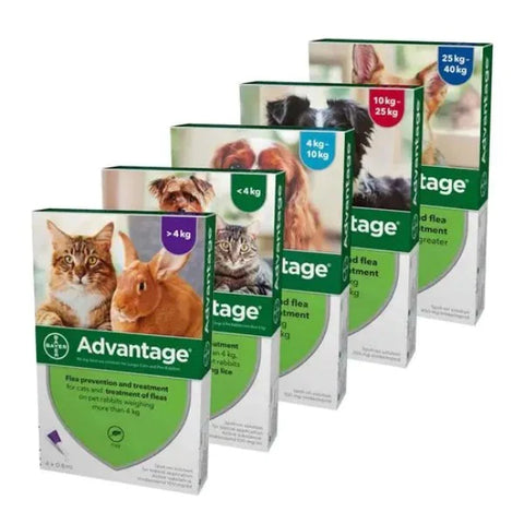 Advantage Spot On Flea Treatment