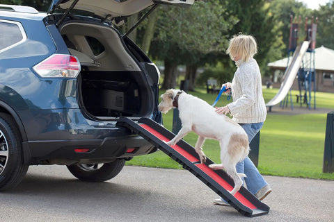 Henry Wag Lightweight Folding Pet Ramp