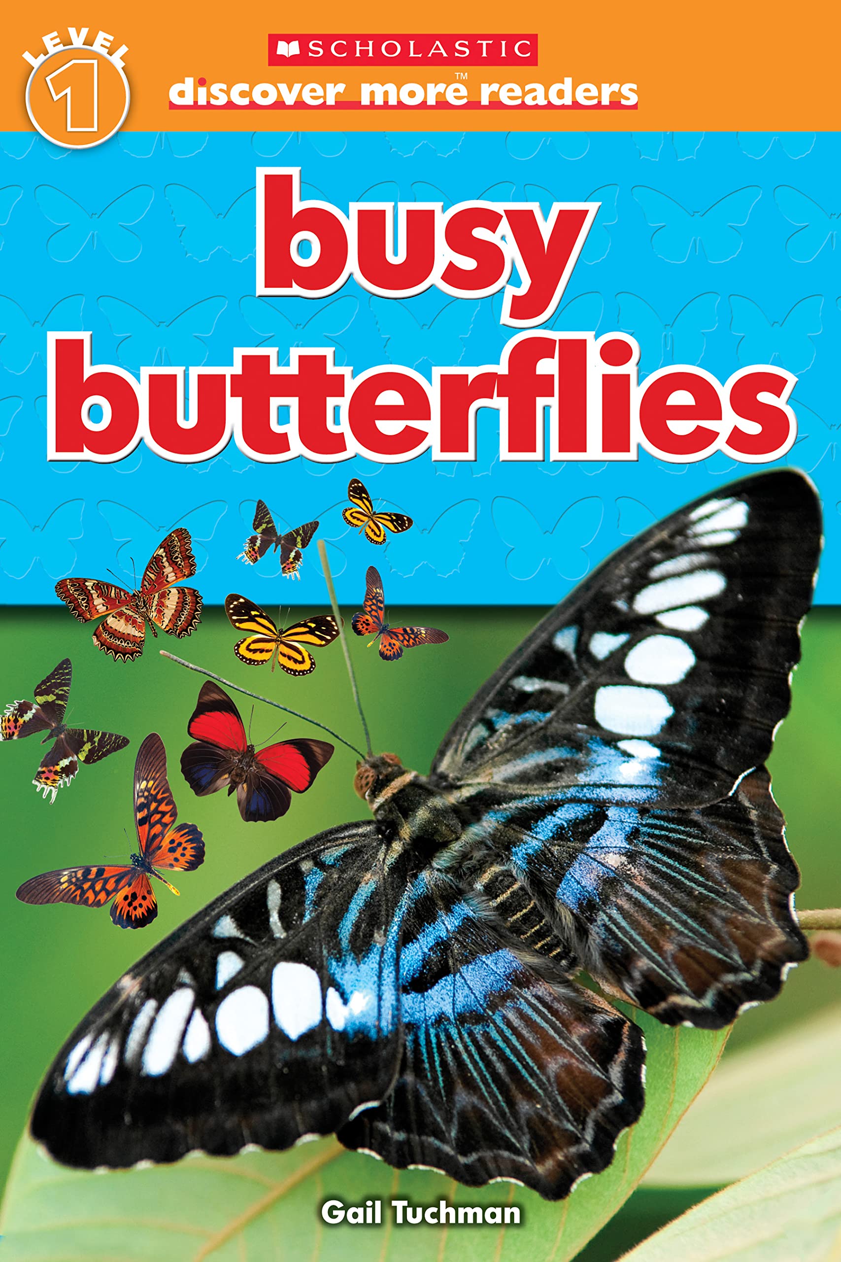 Scholastic Discover More Reader Level 1: Busy Butterflies (Scholastic Discover More Readers) - 7248