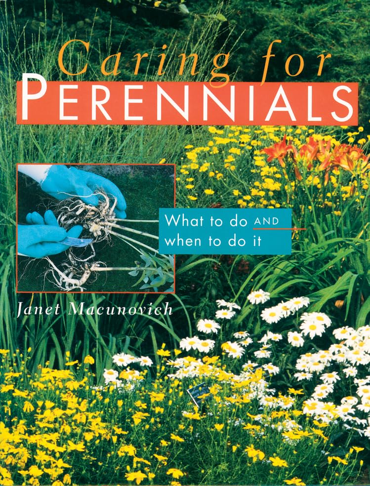 Caring for Perennials: What to Do and When to Do it - 3230