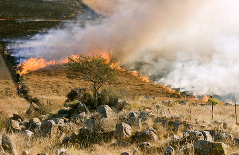 Imagen de incendio forestal