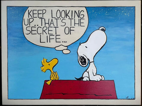 Snoopy Commission: Snoopy and Woodstock on red doghouse looking up with text bubble "keep looking up that's the secret of life..."