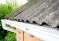 Tvätta bort lav på tak
