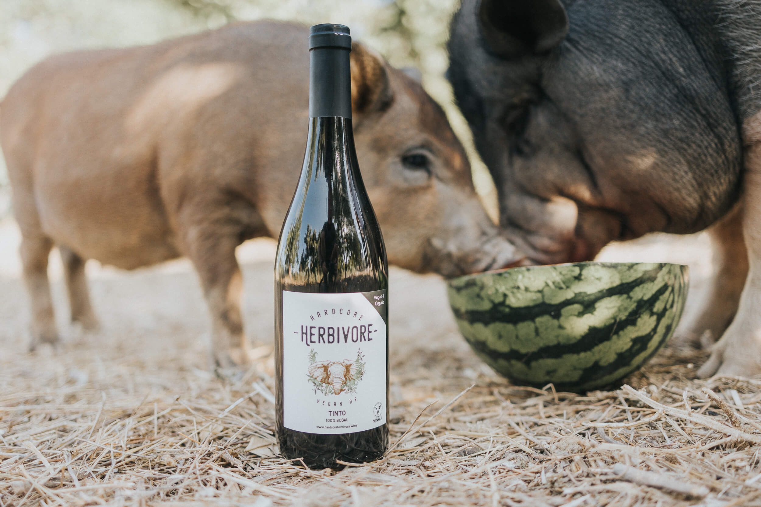 Kolonel Minnaar Beukende Hardcore Herbivore Vegan & Organic wijn. Niet toevallig vegan... – Hardcore  Herbivore Wine