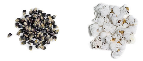 Black popcorn kernels from Dell Cove Spices & More