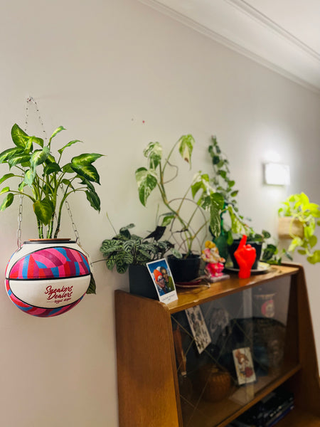 decoration chambre fan de nba basketball planter - idee cadeau basketteur