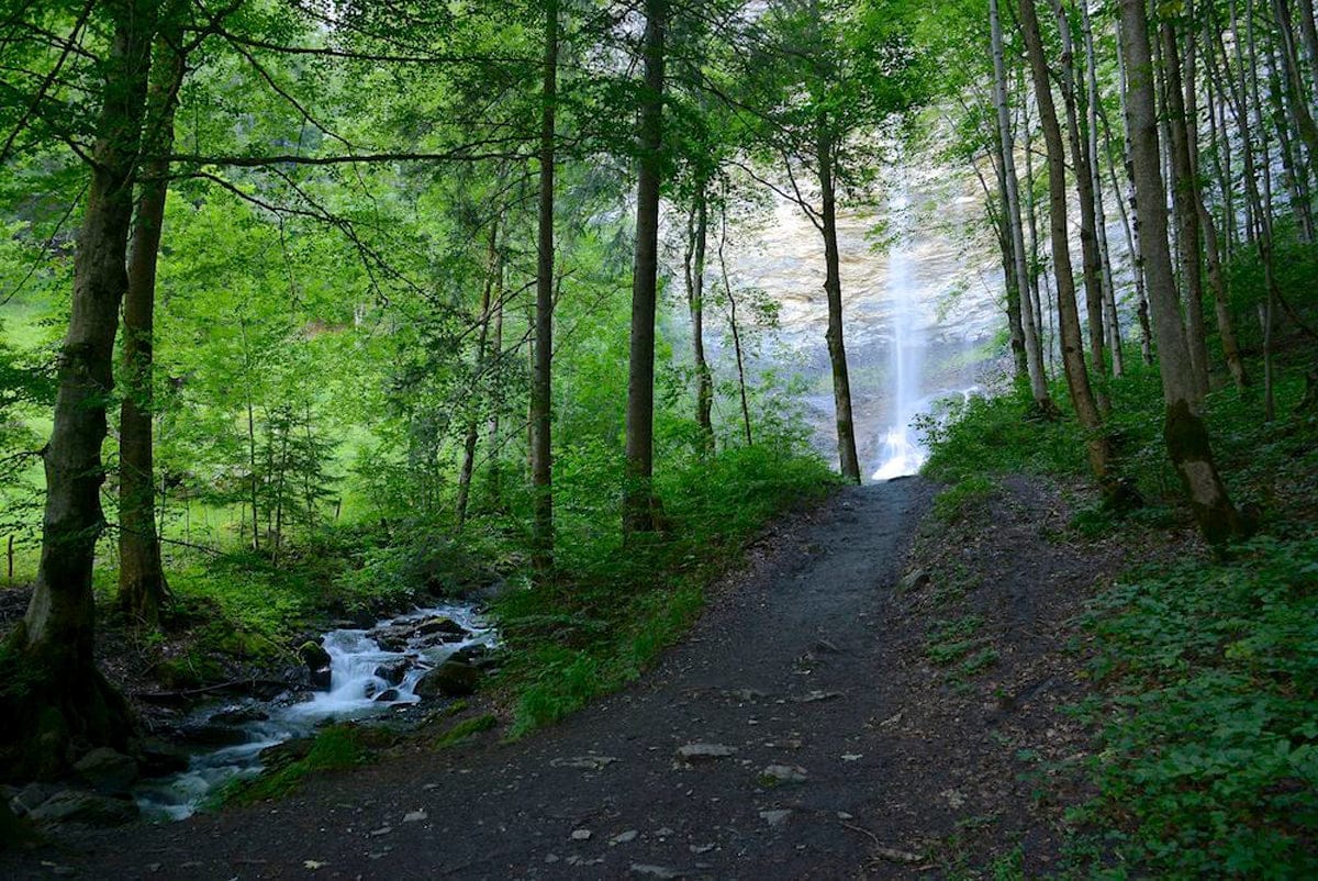 la Cascade du Dard