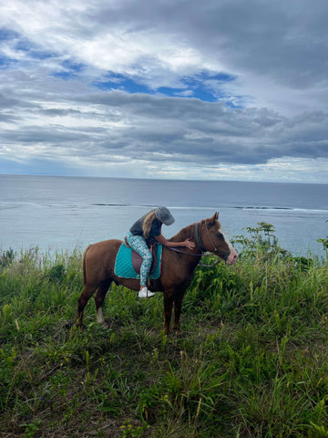 Horse riding Fiji 