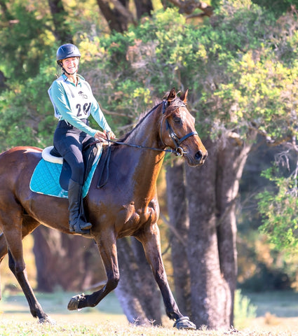 riding my OTTB