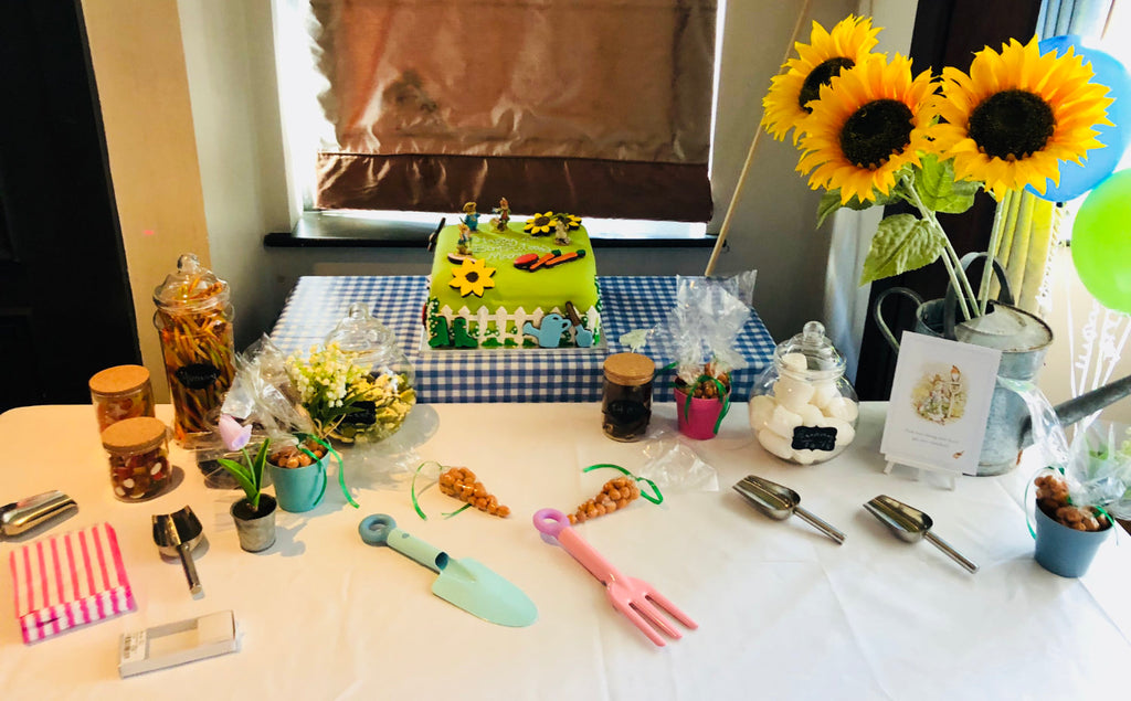 The table prepared for the party, with the cake at the back.