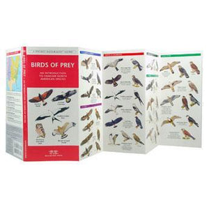 2 pack grey and birds print bras - Pocket Birds
