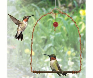 Buy Perky-Pet Copper Beaded Hummingbird Swing Online With Canadian 