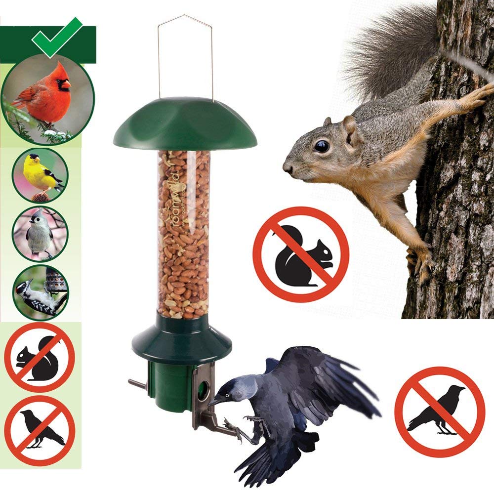 best squirrel proof suet feeder