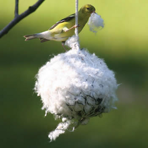 Buy Bird Nesting Fibre With Alpaca Fleece Online With Canadian Pricing -  Urban Nature Store