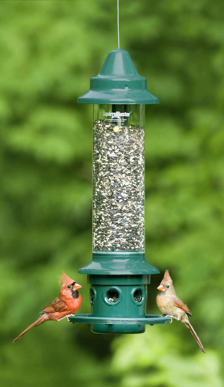 squirrel buster bird feeder charge