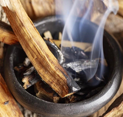 Palo Santo, Little Bee Scents™