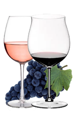 CANAIOLO  – RED GRAPE FOR RED AND ROSE’ WINES
