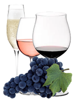 PINOT WINE  –  RED GRAPE FOR WHITE, ROSE’ AND SPARKLING WINE