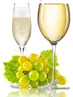 CHARDONNAY  –  WHITE GRAPE FOR WHITE AND SPARKLING WINE