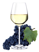 PINOT GRIGIO  – RED  GRAPE FOR WHITE WINE