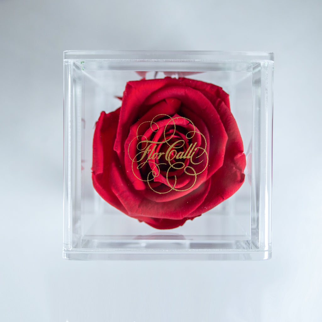 Joyero Mini (Rojo) - Rosas Eternas – Flor Calli