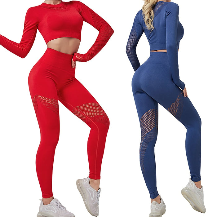 Active Gym Clothes — The Blue Squirrel 