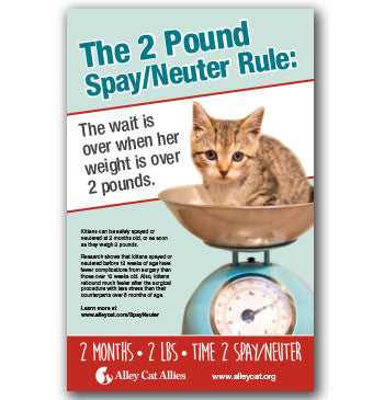 For Veterinarians - Alley Cat Allies