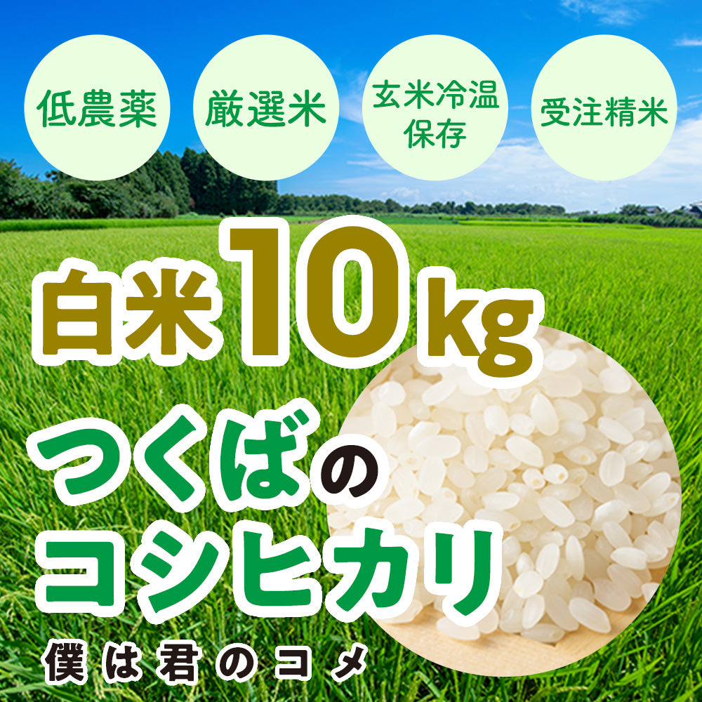 流行店 コシヒカリ 10kg×2 ※無農薬 玄米 国消国産 農家直送 美容健康