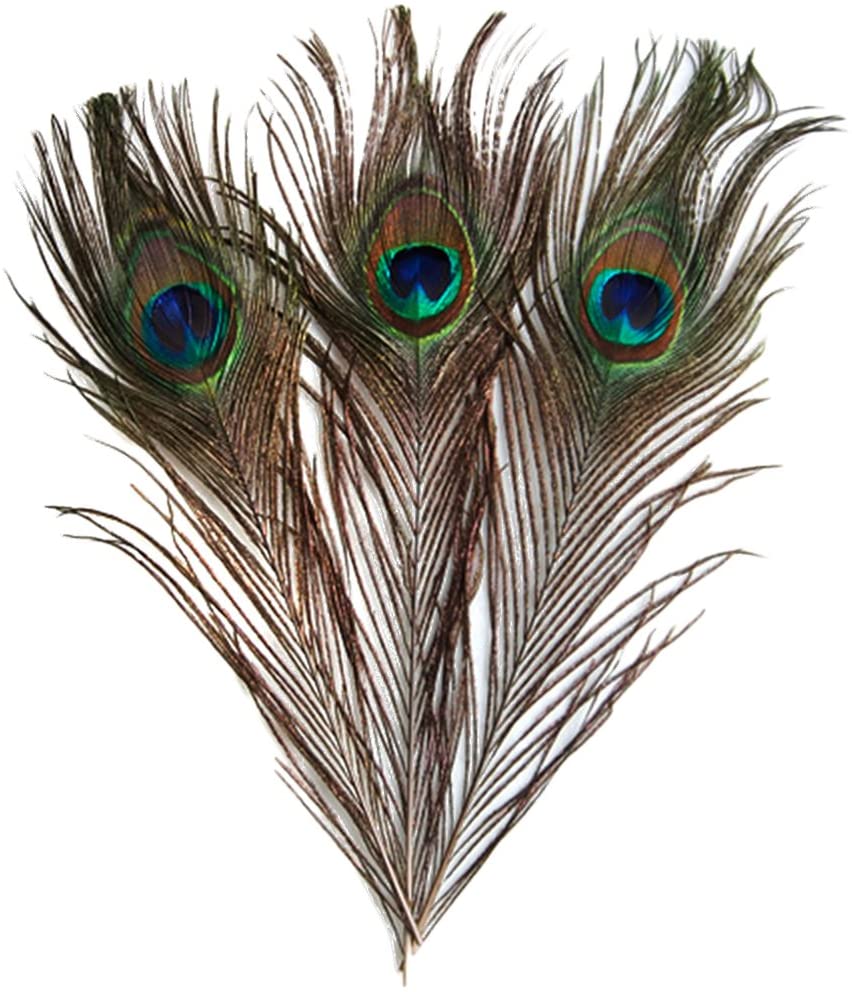 ノーブランド品 羽根 目玉羽 装飾用の羽根 孔雀の羽 23 33cm 10本 Extreme Shopkt