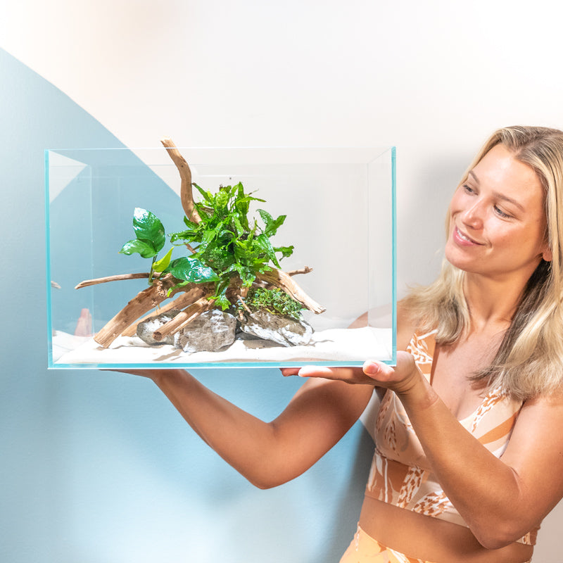 Afbreken Vrijgevigheid Kerel Wetpets | Rimless Aquarium Kits & Accessories