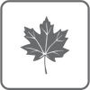 100% Canadian Maple