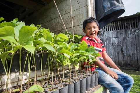 Tree planting brings positive social impact