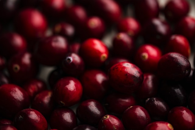 Healthy foods fall - cranberries