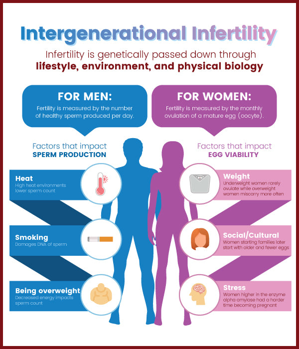 Intergenerational Infertility