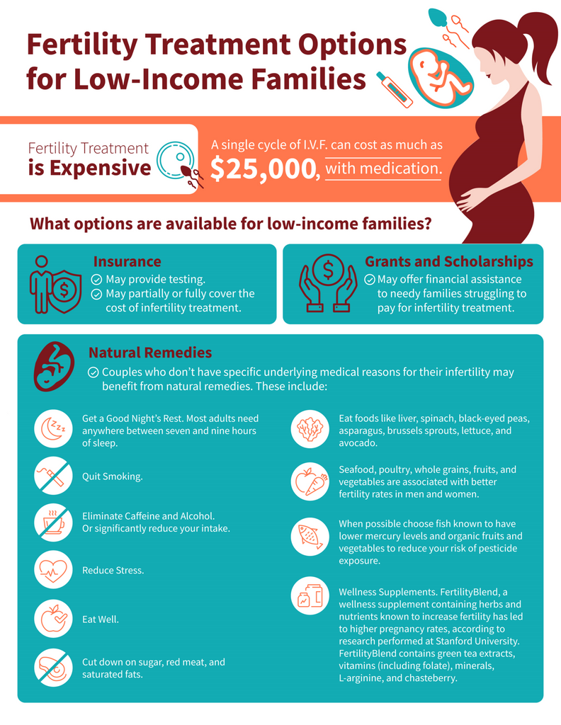Low Income Fertility