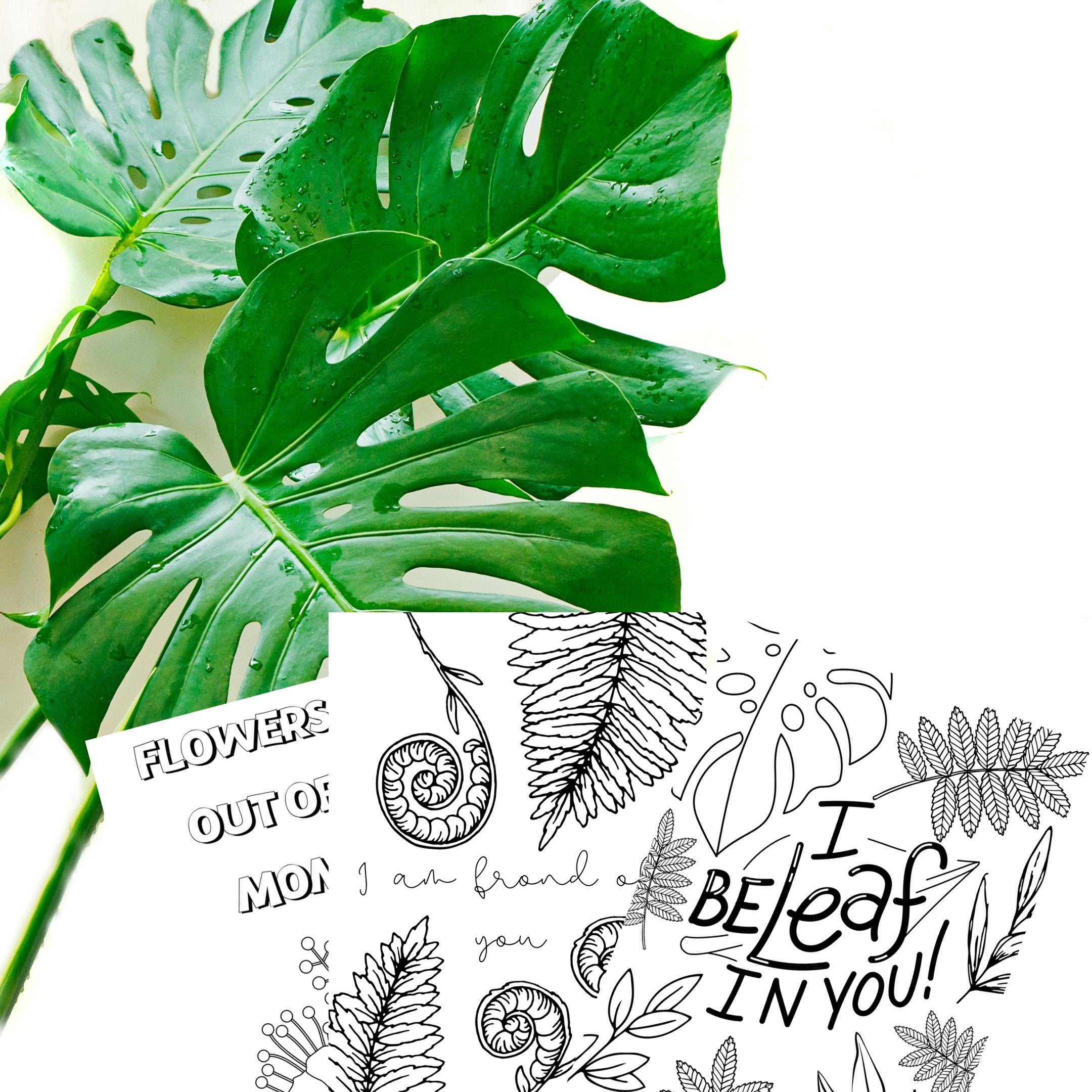 Inspirational Plant Colouring Book